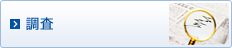 調査
