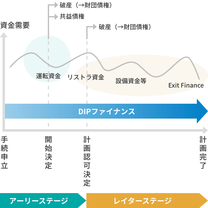 DIPファイナンスの概要図