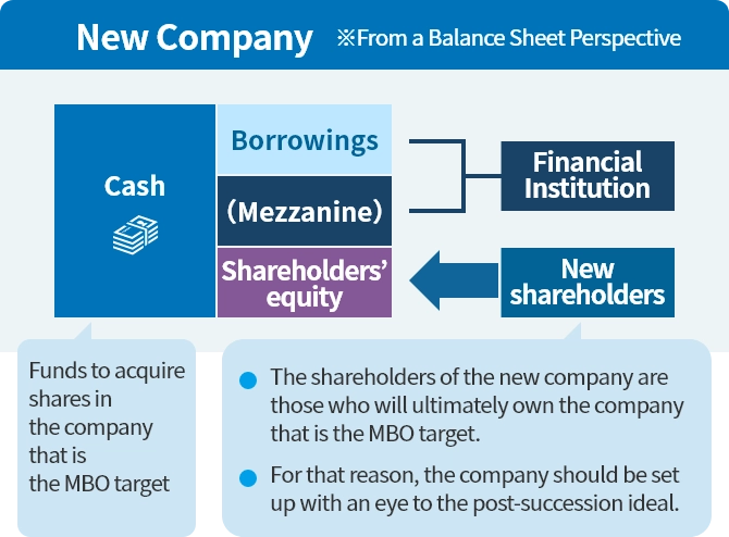 New Company balance sheet: Cash is composed of Borrowings, (Mezzanine), and Shareholders' equity. Borrowings and (Mezzanine) are from Financial Institution, and Shareholders' equity is from New shareholders.