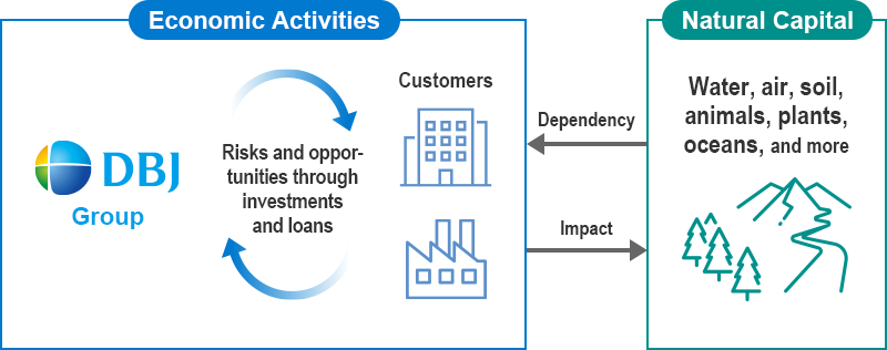 Diagram of relationship between Economic Activities and Natural Capital. DBJ Group and Customers are linked by "Risks and opportunities through investments and loans," showing "Dependency" on and "Impact" on Natural Capital (water, air, soil, animals, plants, oceans, and more).
