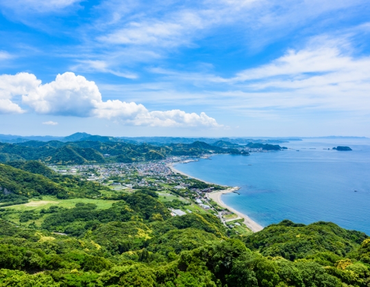 地域 サムネイル画像