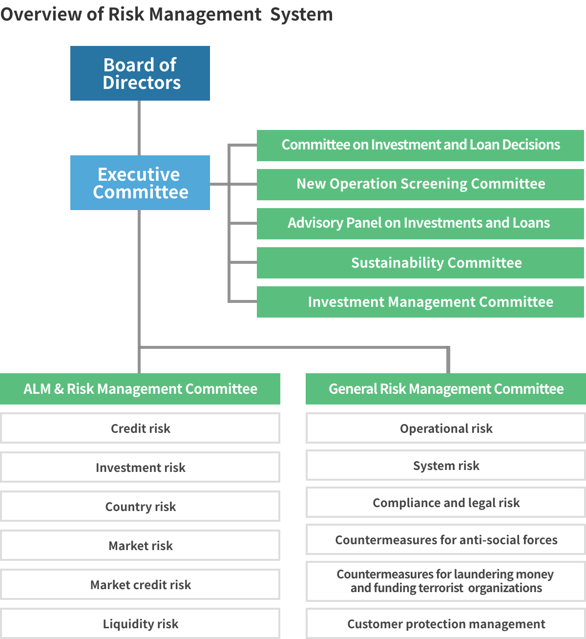 Asset–Liability and Risk Management System Overview