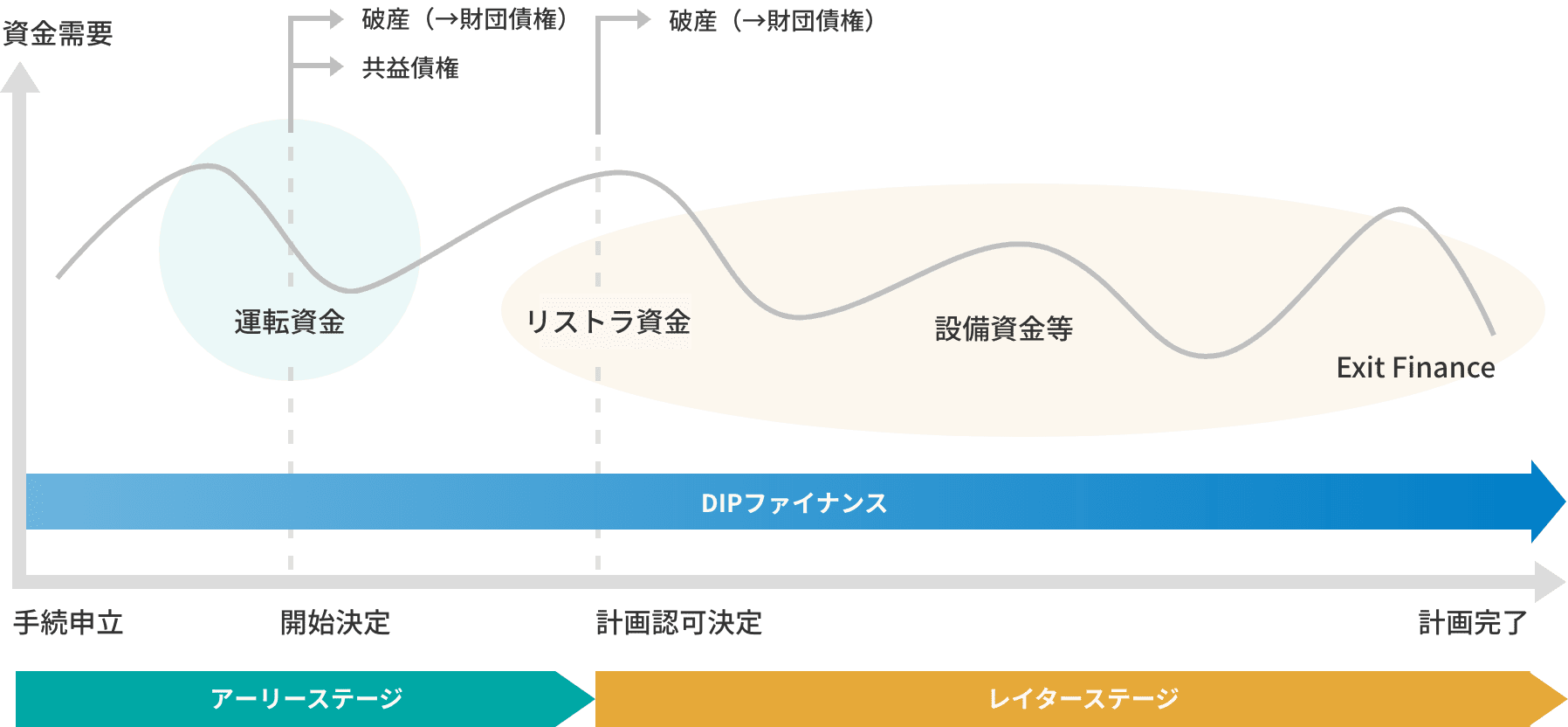 DIPファイナンスの概要図